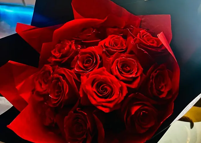 Love Room Secret-Private Jacuzzi Spa & Cinema Bucuresti